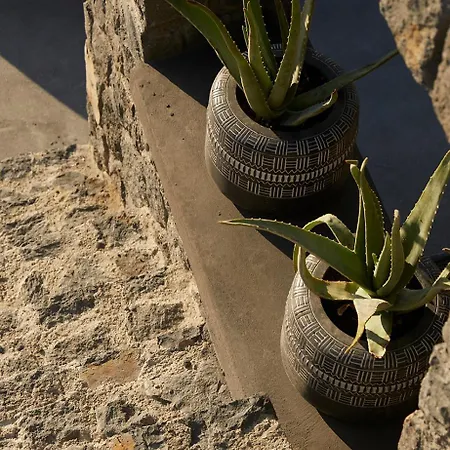 Absolute Paradise Santorini Lejlighed *